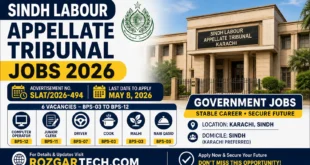 Sindh Labour Appellate Tribunal Jobs 2026 Computer Operator Jobs
